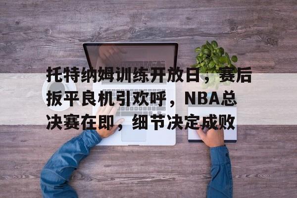 托特纳姆训练开放日，赛后扳平良机引欢呼，NBA总决赛在即，细节决定成败的简单介绍